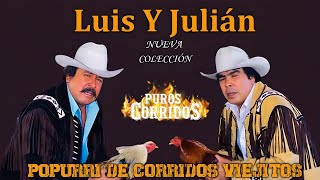 Luis Y Julián 🤠Las Mejores Canciones de Nueva Colección 2024 / Corridos y Norteños Para Pistear 8125