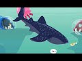 FisherCat Capture Whale shark #cat #whaleshark #Fishercat