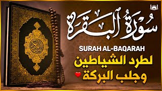 سورة البقرة كاملة - رقية للبيت وعلاج للسحر | تلاوة تريح القلب والعقل Surah Al-Baqara,