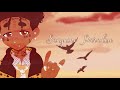 Lil Uzi Vert - Sanguine Paradise Clean
