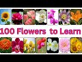 100 Flower Names || 100 Flower Names Every Kid Should Know