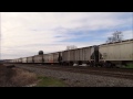 201 cars triple header cn 412 mixed w sd60f @ matsqui jct bc 22feb15 c44 9w 2623 leading