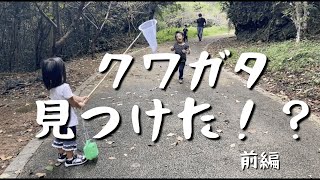 【沖縄】公園でクワガタを見つけろ！【前編】