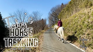 何の変哲もない外乗動画　horse trekking video