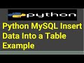 Python MySQL Insert Data Into a Table Example | Python Tutorial
