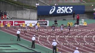 布勢スプリント2014 男子110mH第1ﾚｰｽ2組橋本貴史15.27(+2.3) Takashi Hashimoto 1st