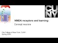 NMDA receptors and learning, Part 3: Concept neurons