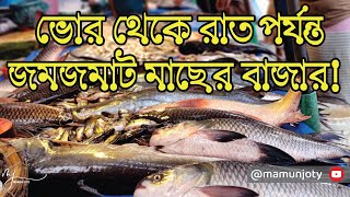 বনশ্রী মেরাদিয়া হাট, কি মাছ নেই এই বাজারে!! || Meradia Fish Market || Meradia Kacha Bazar