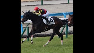 20250216 競馬ﾚｰｽﾄﾋﾟｯｸ　17【足りてる丹内!!】'25小1-8-06R T1800 5下 エルフストラック