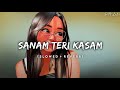 Sanam Teri Kasam - (Slowed + Reverb) | Ankit Tiwari, Palak Muchhal | Lofi Music