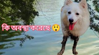 চিকু আজ পুকুরে ঝাঁপ দিয়েছে। অনেক কষ্ট করে তুলে নিয়ে আসছি 😟🥺#chiku❤️❤️