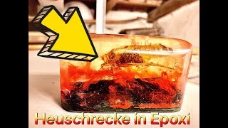 Heuschrecke in Epoxidharz