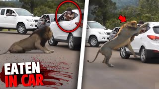 These 3 People Were EATEN ALIVE Inside Their Car By Deadly Animals!