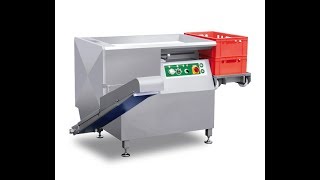 MHS Model 2000-112 Dicer with Take away conveyor and optional bin lifter