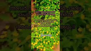 എത്ര അടുപ്പമുണ്ടെന്ന് പറഞ്ഞിട്ടും Malayalam Motivation tips # viral shots video # Zama vlog