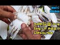 நண்டு ஈசியா சுத்தம் செய்வது எப்படி | How to clean crab | crab cleaning in tamil