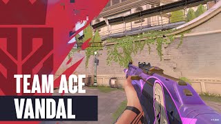 Team Ace Vandal Skin (Reyna Vandal) Showcase - Valorant Team Ace Agent Skin Collection