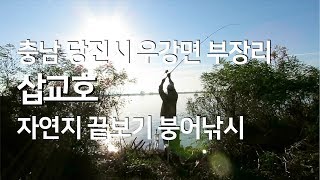 끝보기 붕어낚시, 삽교호 부장리가 궁금해! 물가에선나무 붕어 낚시 동영상