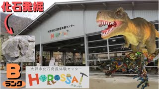 【古生物スポット】大野市化石発掘センターHOROSSA