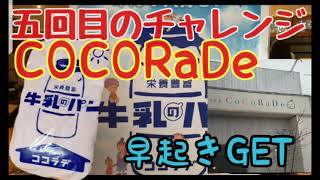 五回目のチャレンジ ココラデ　牛乳パン　早起きしてまで?