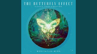 The Butterfly Effect : Elevate Your Vibration