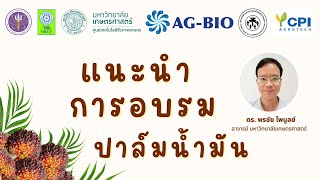 แนะนำการอบรมปาล์มน้ำมัน