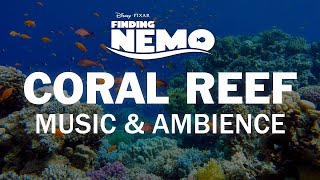 Finding Nemo | Disney Music & Ambience - Coral Reef Underwater Sounds for Sleep,