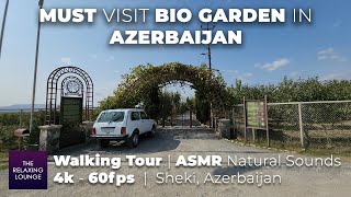 Drive \u0026 Walk in MUST VISIT Bio Garden | 4k - 60fps | ASMR Natural Sounds | Tour | Sheki, Azerbaijan