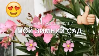 Мой зимний САД🌸//Добро Пожаловать)