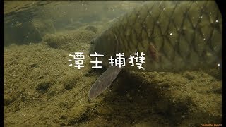 波爸釣魚趣- 6p筷子偷跑竿山溪爆咬 (Lure/路亞/溪釣/捲仔/馬口/溪哥/何氏棘魞) 20180610