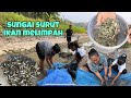 ALHAMDULILLAH DAPAT IKAN BANYAK DARI SUNGAI YANG SURUT