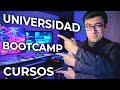 Universidad, Bootcamp, Cursos, o Autodidacta (para aprender a programar)