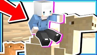 【Minecraft | 沙漠紀元】#15 駱駝來我家裡吧❗駱駝其實是一個跟屁蟲❓