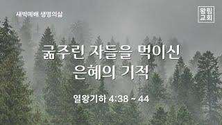 [왕림교회]새벽예배_2024.6.28(금)_실시간방송