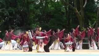 そうか連さん 　原宿スーパーよさこい2014