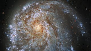 Som ET - 22 - Galaxy - NGC 2276 - 4K