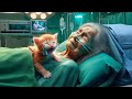 Poor kitty Pain after Loss grandma #cat #cute #ai #catlover #catvideos #cutecat #aiimages #aicat