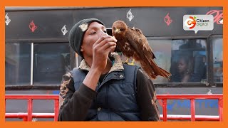 The Bird Man of Nairobi: Man explains his unusual bond with his hawk named Johnson
