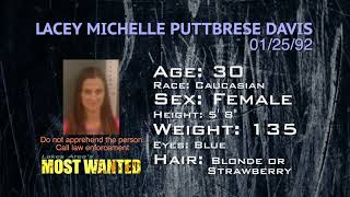 Most Wanted in Becker County