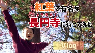 【Vlog】長野県にあるお寺　長円寺に行ってきた