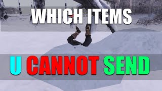 FFXI *TIPS* Find Out Which Items You CANNOT Send to Your Mules