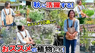 【秋に活躍する植物たち】【ローズガーデン・カネコさん】