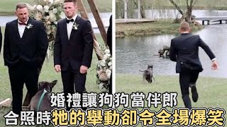 結婚讓狗狗當伴郎，準備合照時搞笑的舉動，卻逗得全場爆笑!｜寵物動物｜狗狗