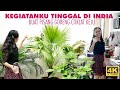 NORMAL DAY LIVING WITH INDIAN FAMILY AS INDONESIAN | KEGIATANKU TINGGAL DI INDIA