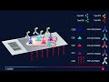 multiplexing on mouse tissue using cell signaling technology antibodies and opal ihc