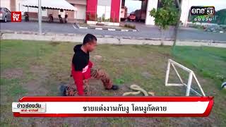 ชายแต่งงานกับงู โดนงูกัดตาย | ข่าวช่องวัน | ช่อง one31