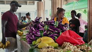 Introducing the Nusatupe innovation hub – showcasing the best of the sustainable island food systems