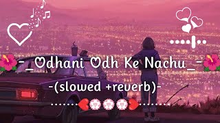 Odhani Odh Ke Nachu-(slowed +reverb) Romantic Lo-fi Song 🌺🌹😍
