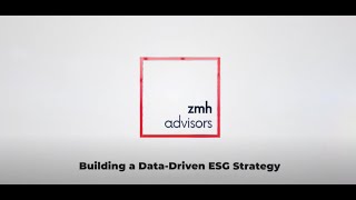 ZMH ESG Advisory