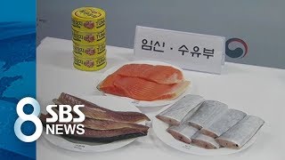 생선 속 수은 섭취 줄이려면 / SBS